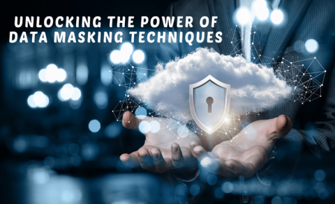 Unlocking the Power of Data Masking Techniques